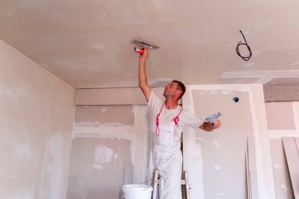 Best Drywall Removal and Disposal  in Dunkirk, NY