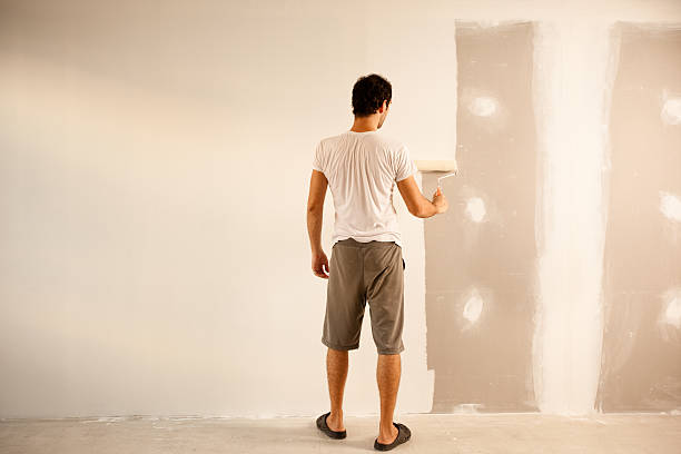 Best Drywall Sanding and Smoothing  in Dunkirk, NY